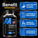 Creatine Monohydrate 3,000 Mg - Improves Energy and Endurance, Increases Muscle Mass, and Athletic Performance, 120 Capsules - Image 2