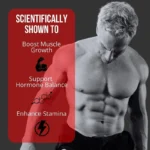 Muscle Builder for Men 30+ - Boosts Muscle, Strength and Endurance, Supports Hormone Balance - Image 5